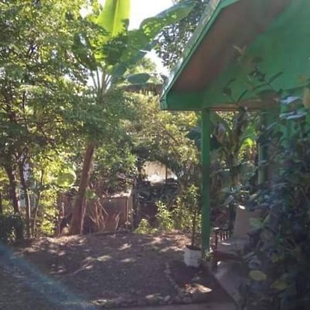 Вилла Casa Flor De Annia ~ Cozy 2 Bdrm On The River Sierpe ~ Walkable To Town Экстерьер фото