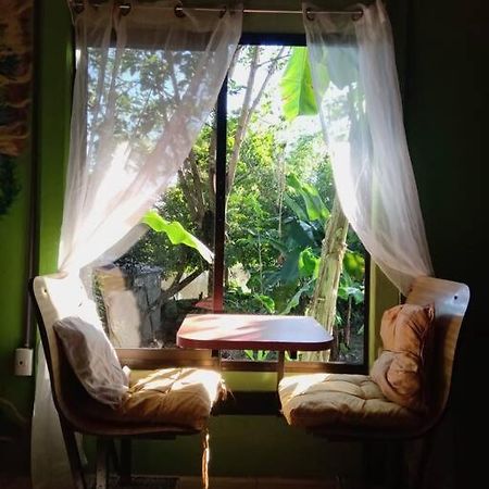 Вилла Casa Flor De Annia ~ Cozy 2 Bdrm On The River Sierpe ~ Walkable To Town Экстерьер фото
