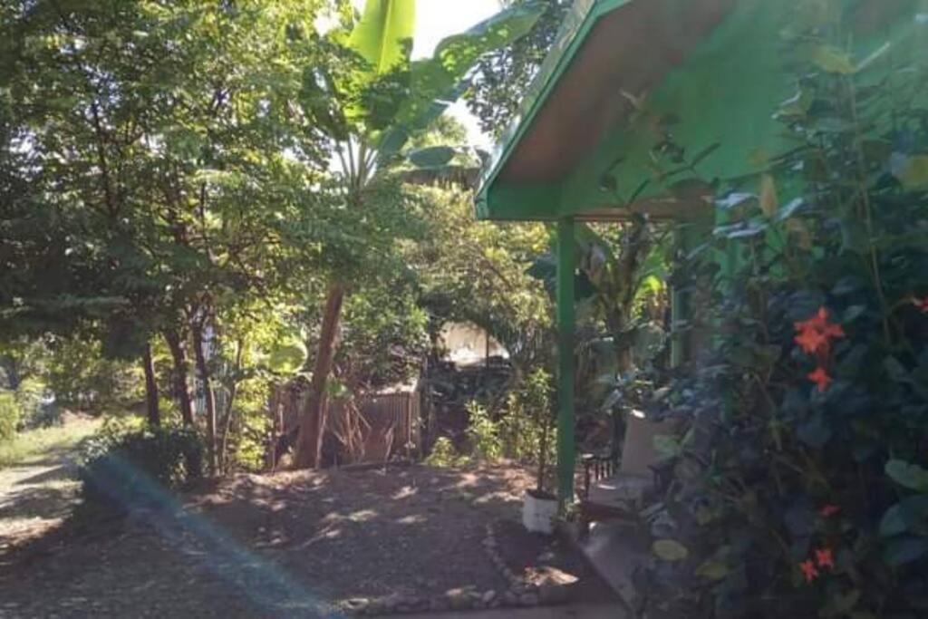 Вилла Casa Flor De Annia ~ Cozy 2 Bdrm On The River Sierpe ~ Walkable To Town Экстерьер фото