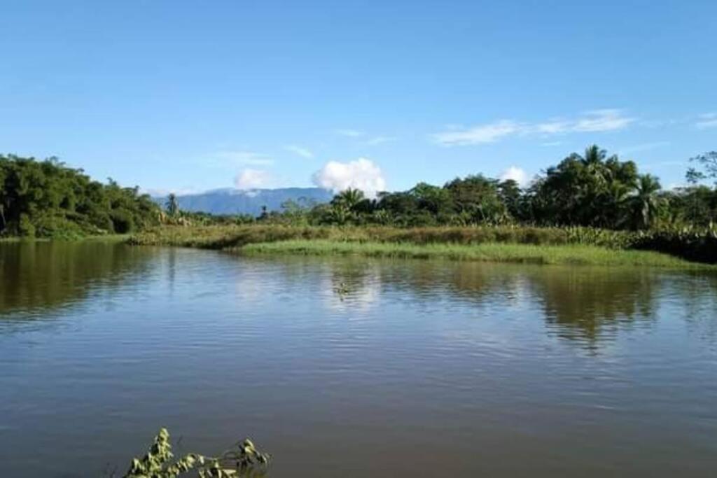 Вилла Casa Flor De Annia ~ Cozy 2 Bdrm On The River Sierpe ~ Walkable To Town Экстерьер фото