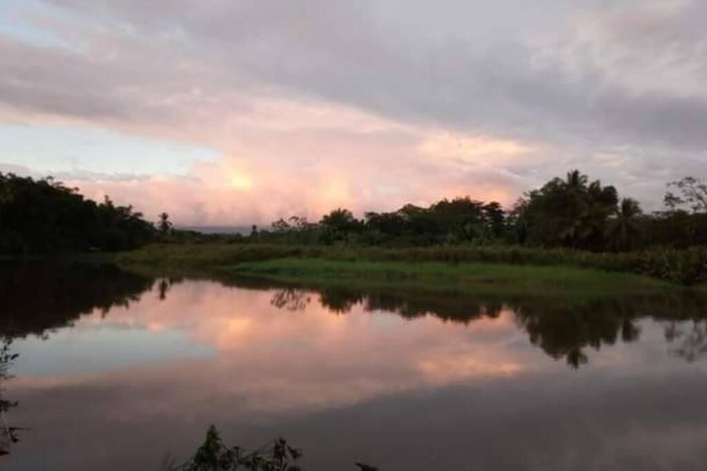 Вилла Casa Flor De Annia ~ Cozy 2 Bdrm On The River Sierpe ~ Walkable To Town Экстерьер фото