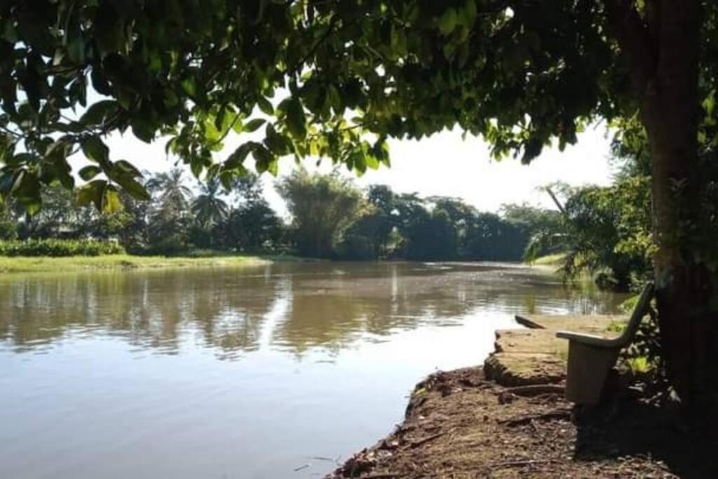 Вилла Casa Flor De Annia ~ Cozy 2 Bdrm On The River Sierpe ~ Walkable To Town Экстерьер фото