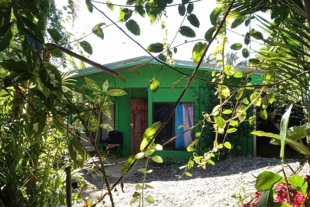Вилла Casa Flor De Annia ~ Cozy 2 Bdrm On The River Sierpe ~ Walkable To Town Экстерьер фото