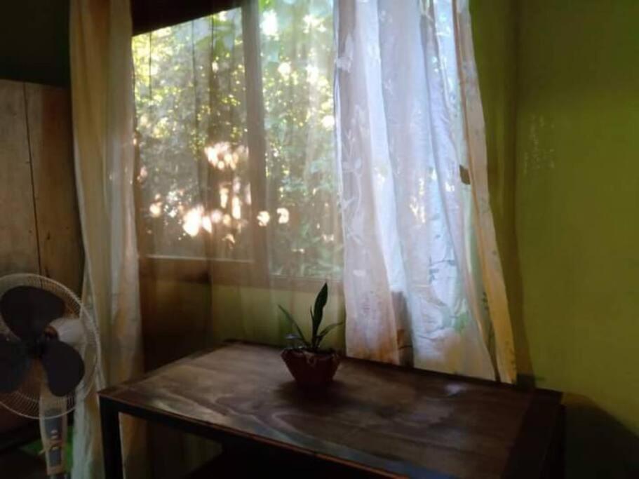 Вилла Casa Flor De Annia ~ Cozy 2 Bdrm On The River Sierpe ~ Walkable To Town Экстерьер фото