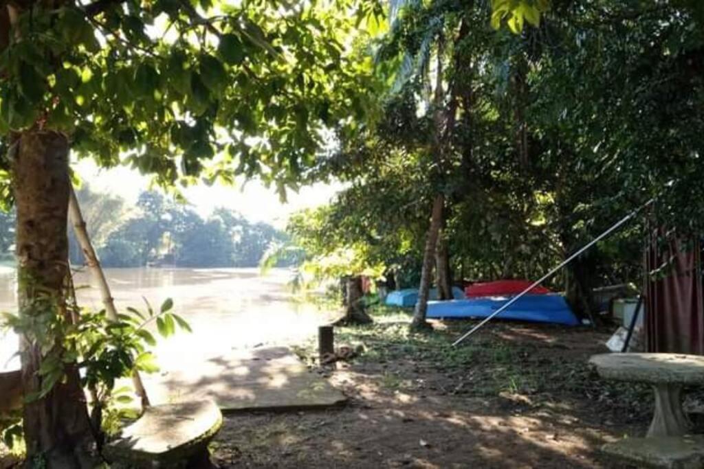 Вилла Casa Flor De Annia ~ Cozy 2 Bdrm On The River Sierpe ~ Walkable To Town Экстерьер фото